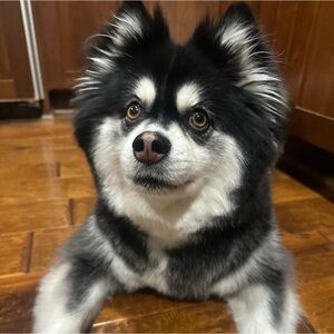 UNLISTED SHOW ITEM 4